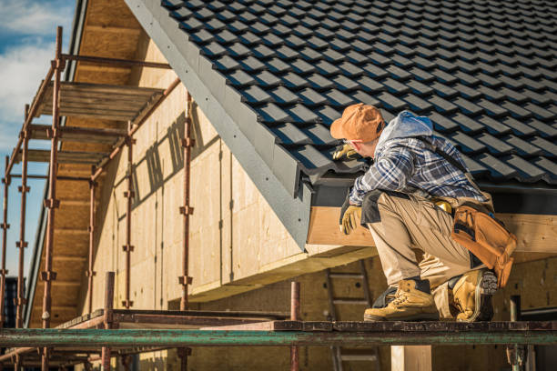 Best Solar Panel Roofing Installation  in Douglasville, GA